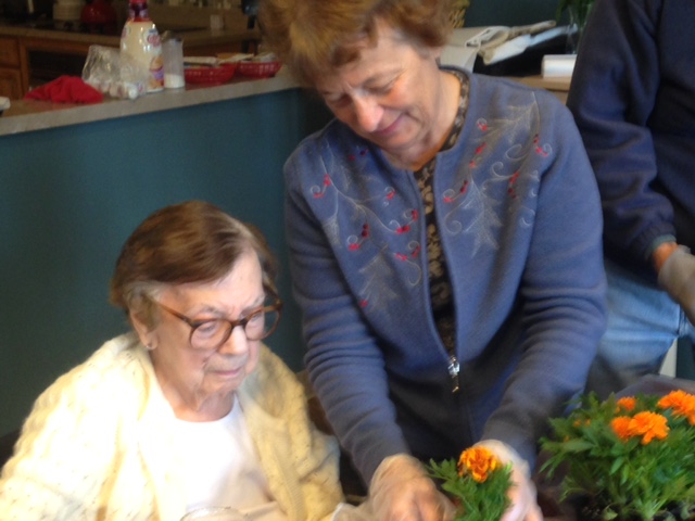 Residents planting flowers together
