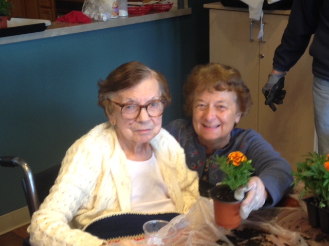 Residents planting marigolds in pots during an activity